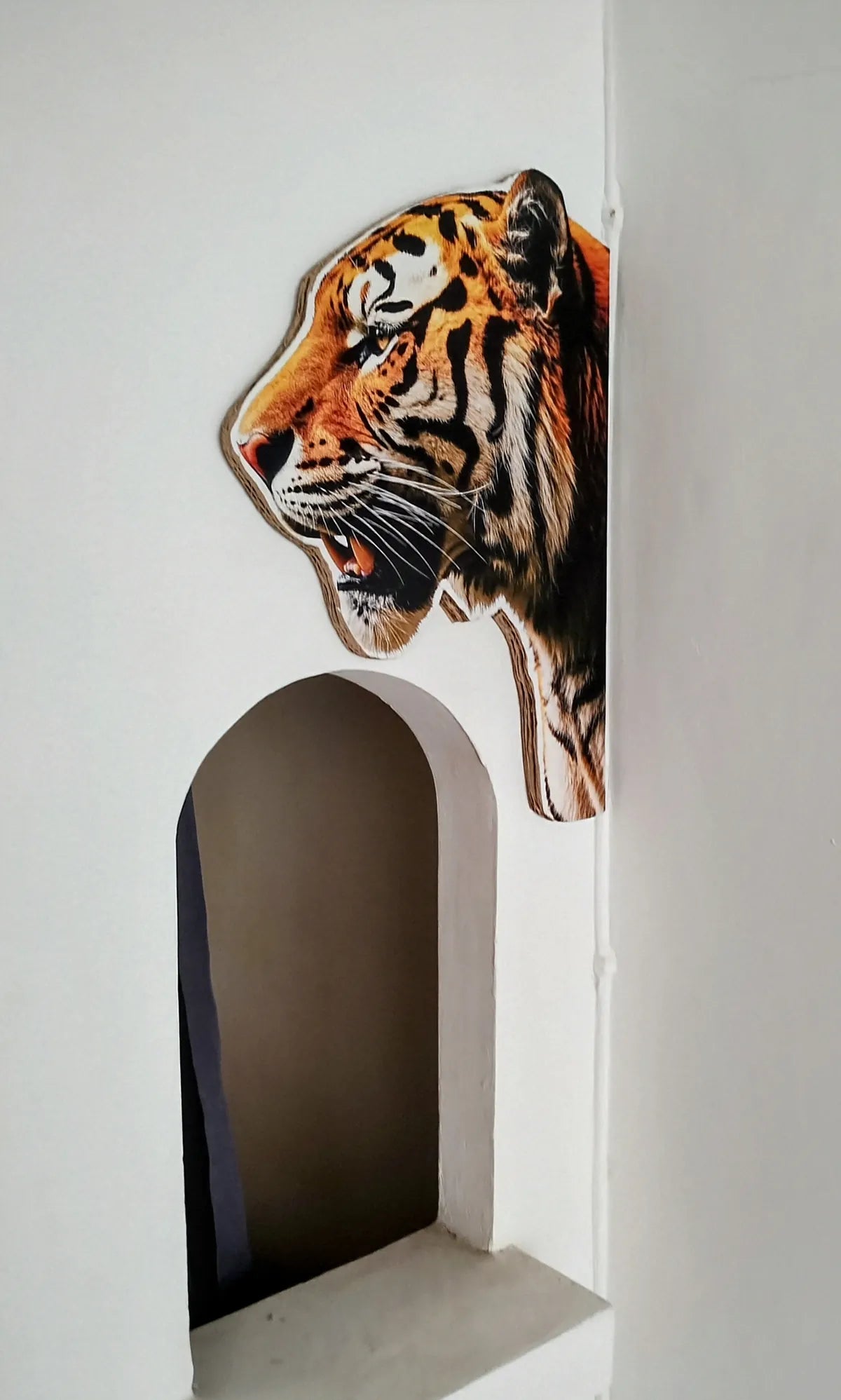 Silhouettes Équity — Poésie du Contour Vivant